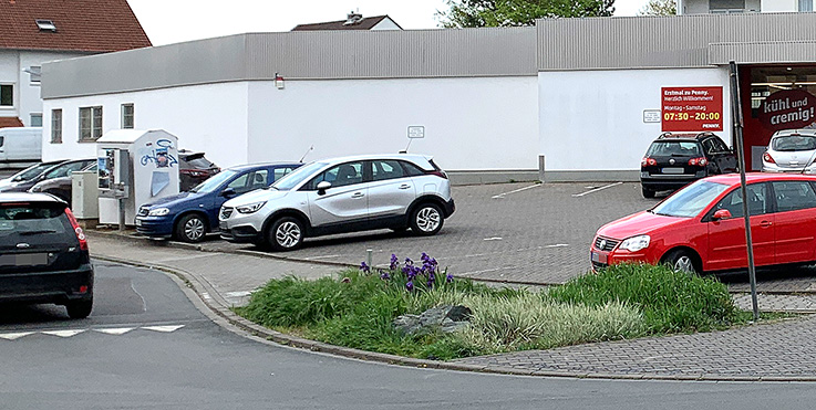 Nauheim-Online: Am Penny-Markt in Nauheim sorgt eine Brgerin fr schne Beete. Auch der Bauhof hat angepackt.