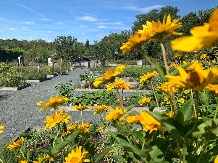 Nauheim-Online - Krutergarten in Nauheim