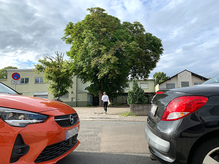 Nauheim-Online - Wohnungsbau stlich der SKV-Halle in Nauheim geplant