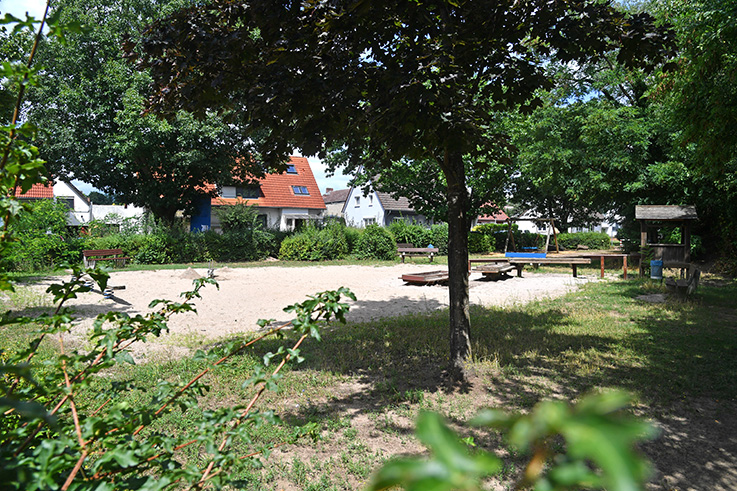 Nauheim-Online - Licht und Schatten: Die Spielflche liegt in der Hitze