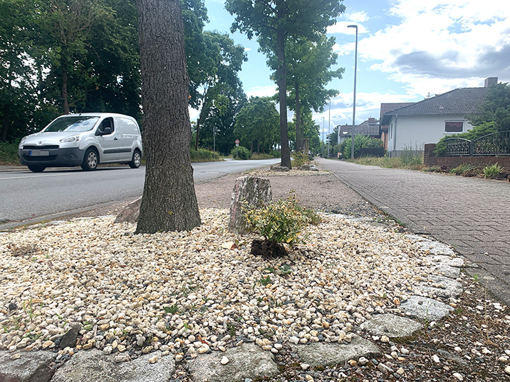 Nauheim-Online - Pflanzpaten fr Nauheim