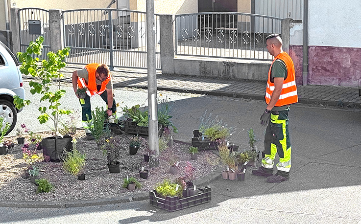 Nauheim-Online - Pflanzen statt Reklame