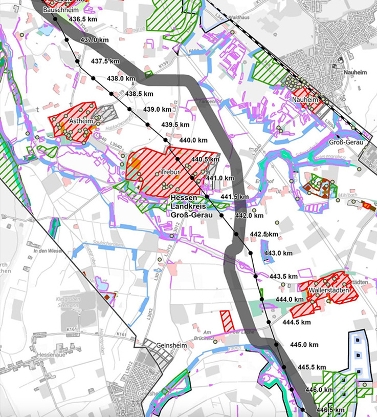 Nauheim-Online - Rhein-Main-Link nahe Nauheim