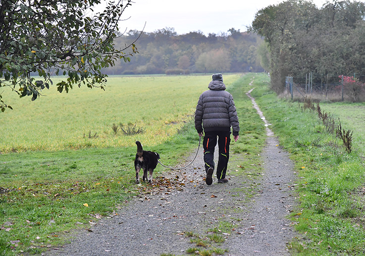 Nauheim-Online - Hunde in nauheim an die Leine