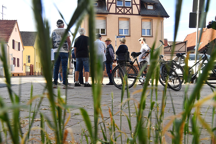 Nauheim-Online - 