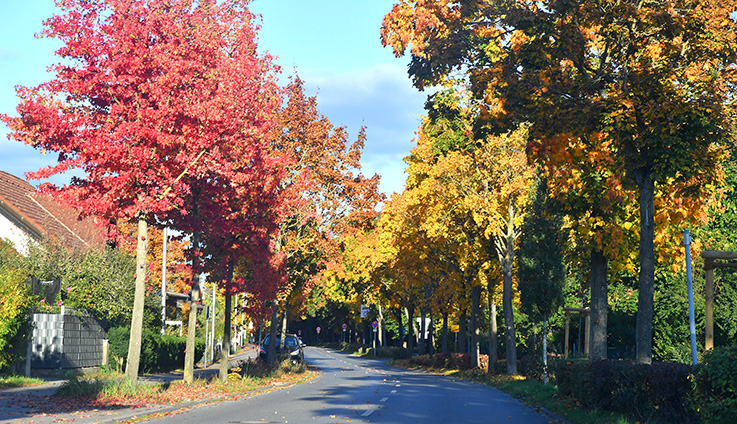 Nauheim-Online - Indian Summer in Nauheim