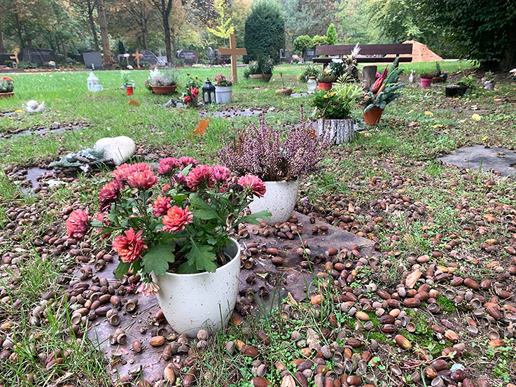 Nauheim-Online - Friedhof in Nauheim
