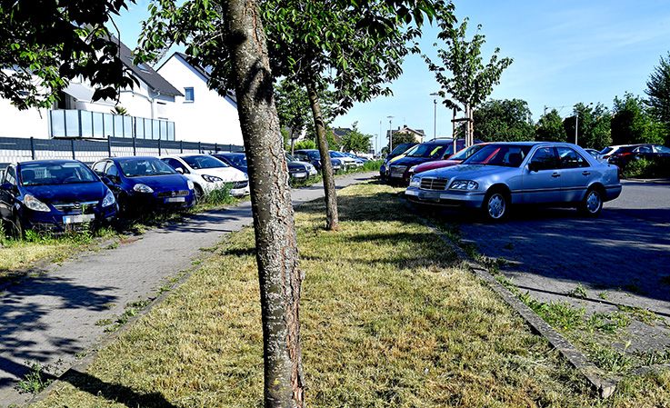 Nauheim-Online - 