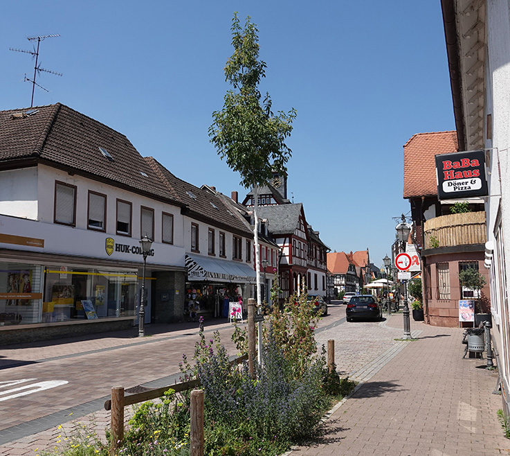 Nauheim-Online - 