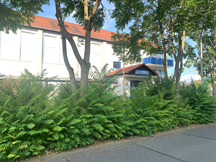 Nauheim-Online - 