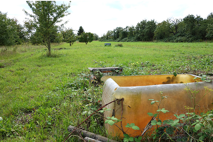 Nauheim-Online - 