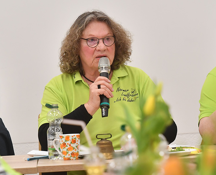 Nauheim-Online - 