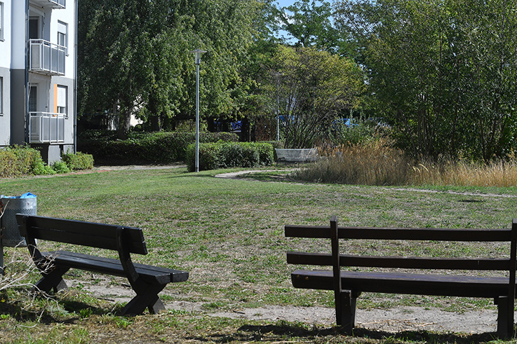 Nauheim-Online - 