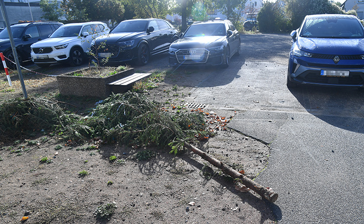 Das Foto der Woche auf Nauheim-Online