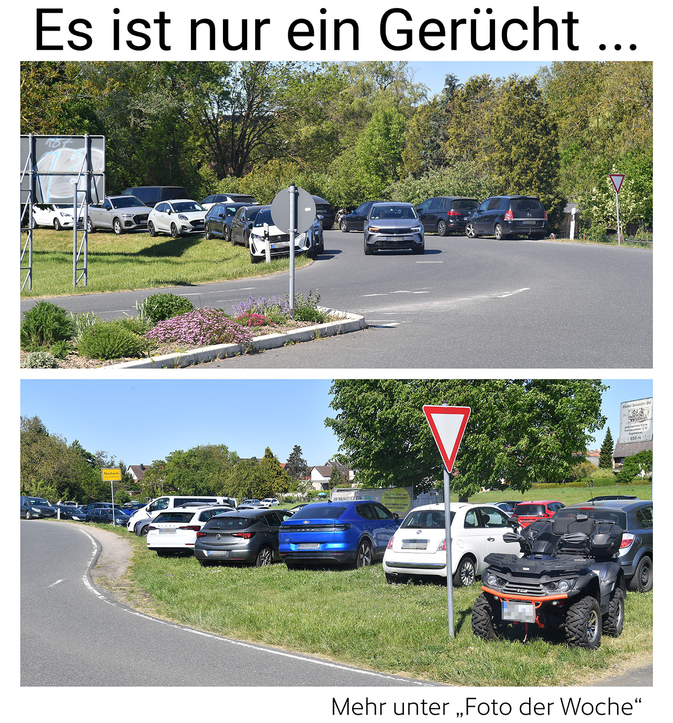 Nauheim-Online - Das Foto der Woche