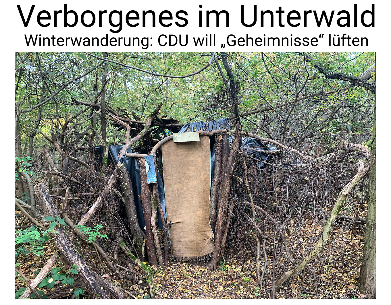 Nauheim-Online - Verborgenes im Nauheimer Unterwald