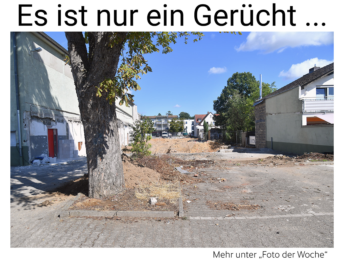 Nauheim-Online - Das Foto der Woche
