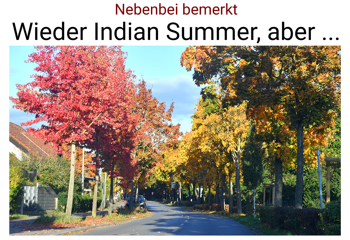 Nauheim-Online - Indian Summer in Nauheim