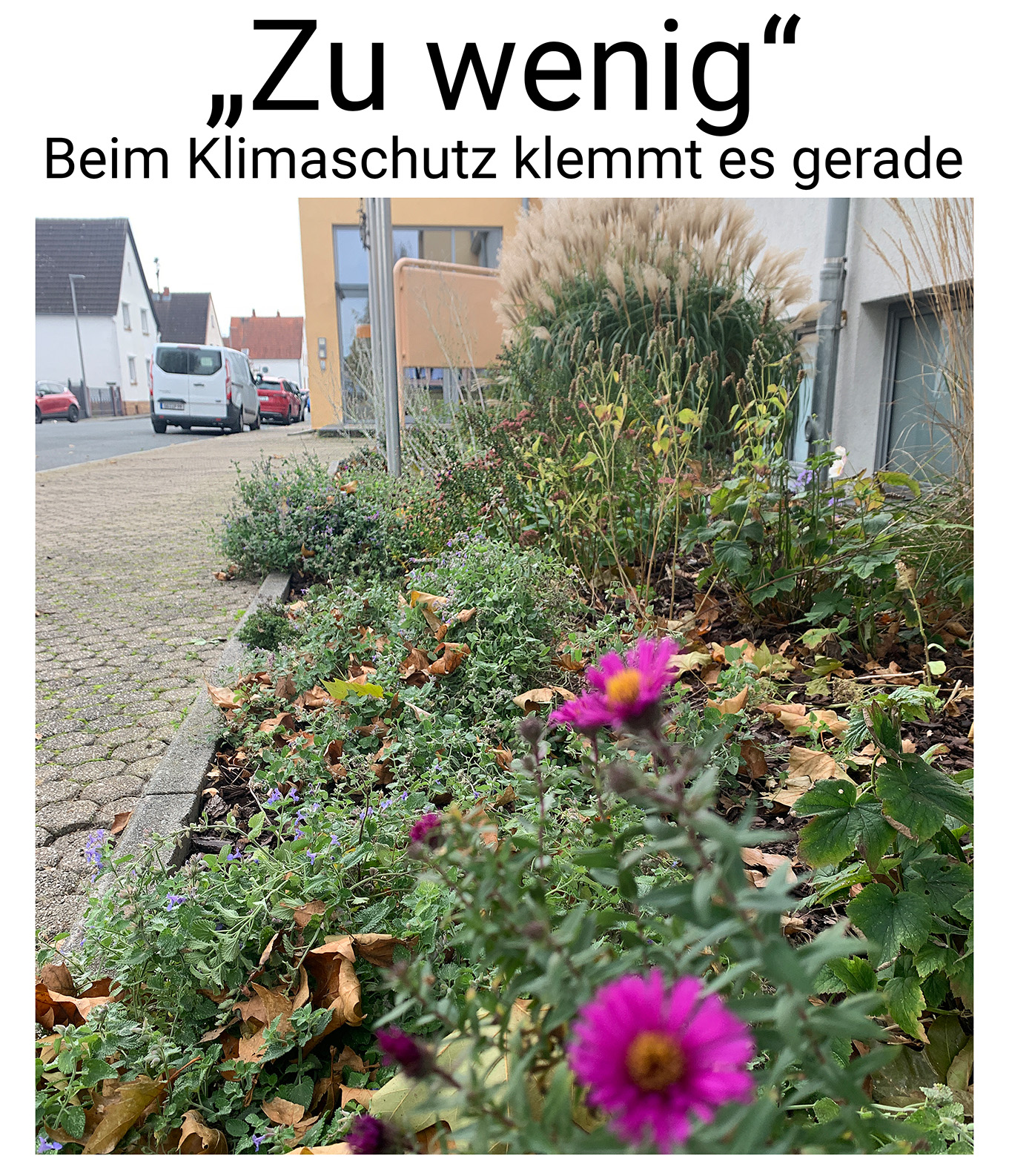 Nauheim-Online - Klimaschutz in Nauheim