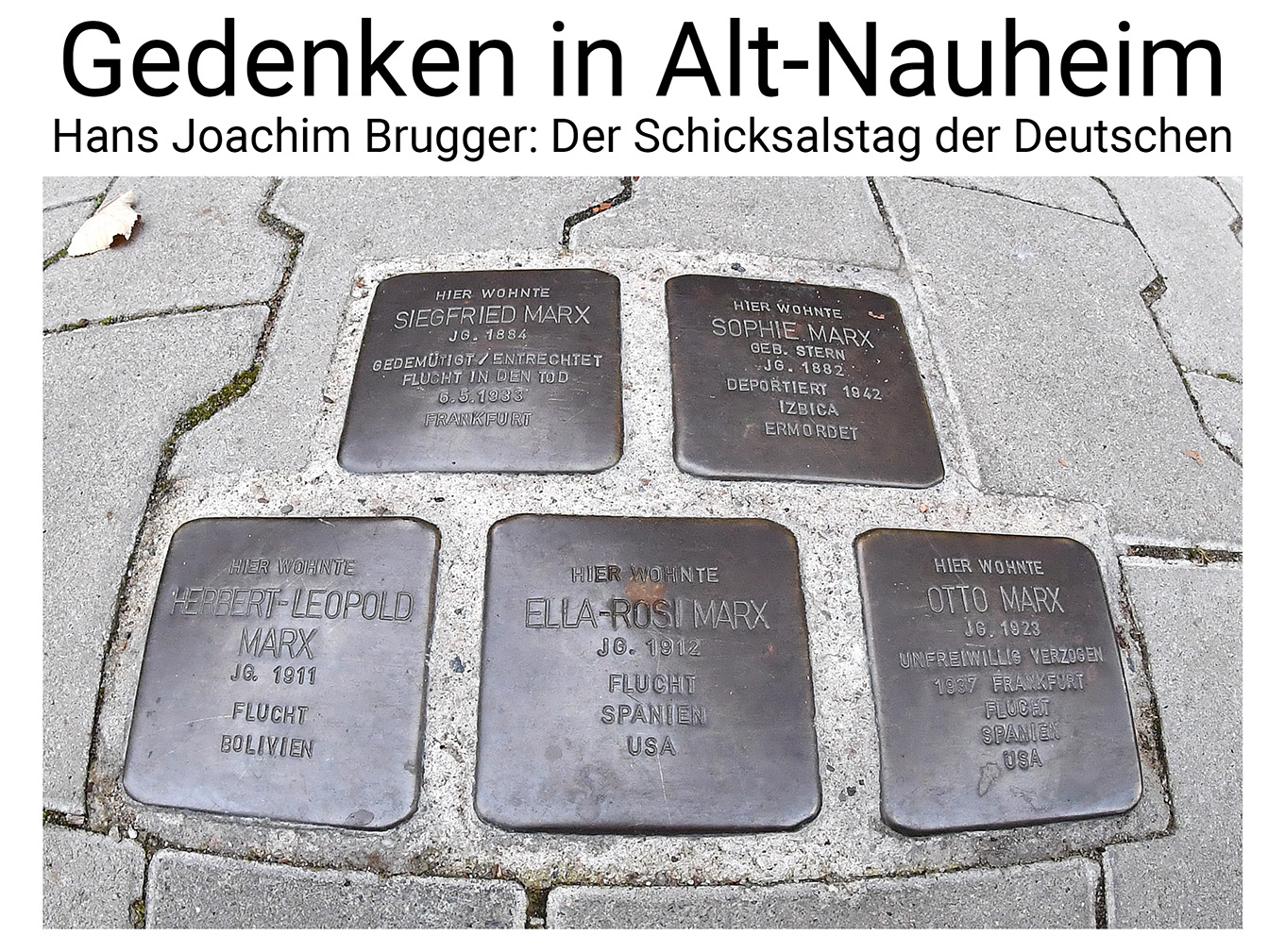 Nauheim-Online - Stolpersteine in Nauheim